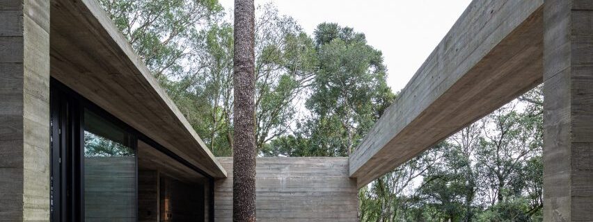 Camilo Ibrahim Construyen casa de concreto alrededor de un arbol en Brasil