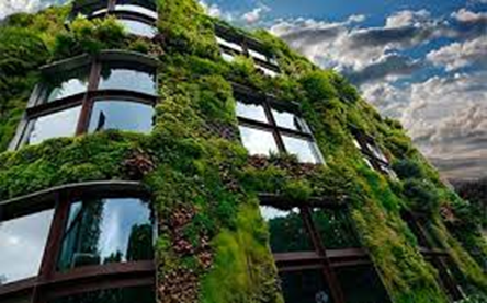 image 5 - Los beneficios de las fachadas verdes: Un enfoque sostenible para mejorar los edificios