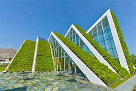 image 6 - Los beneficios de las fachadas verdes: Un enfoque sostenible para mejorar los edificios